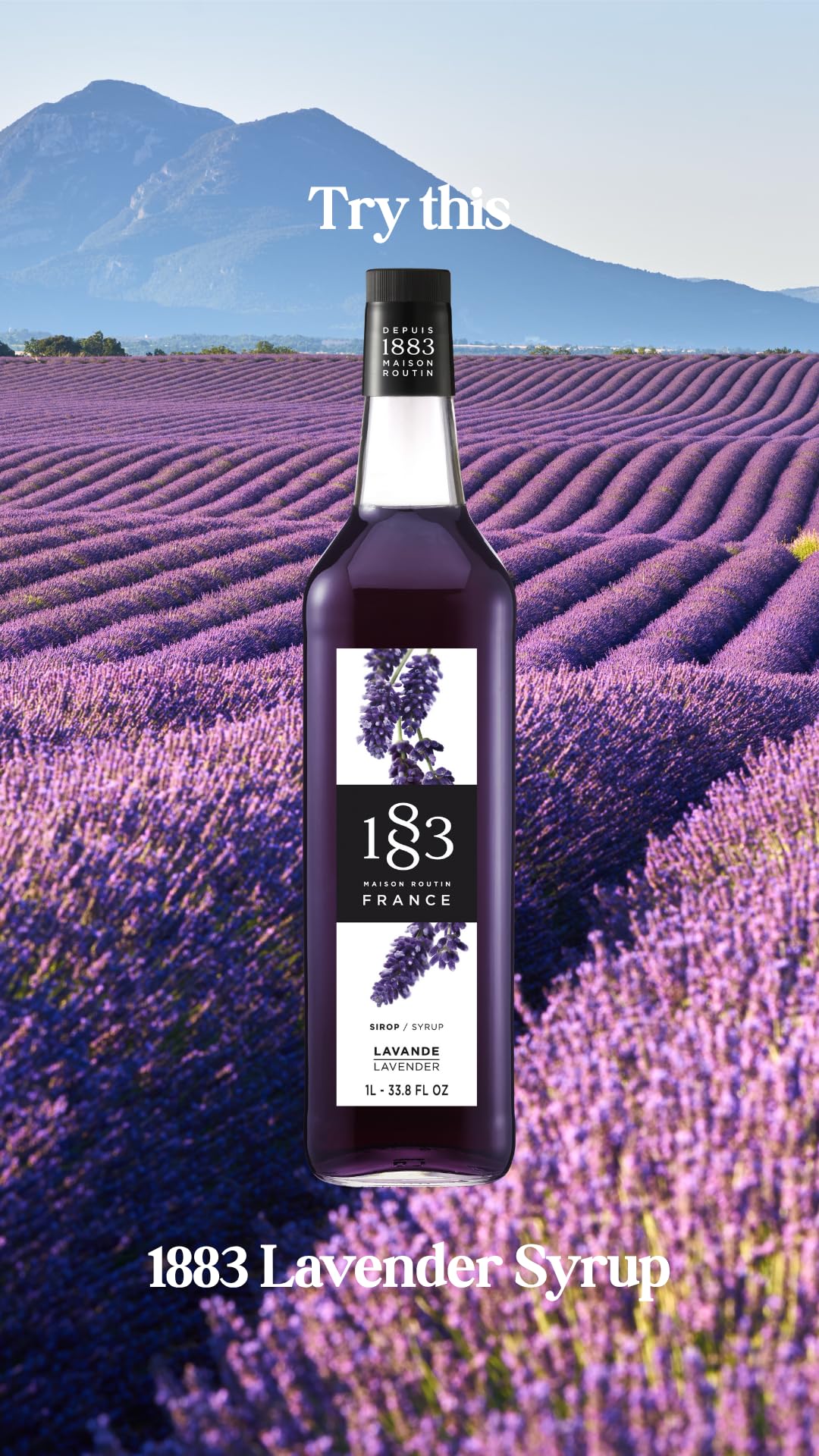 Amazon.com: 1883 Maison Routin Syrup for Drinks, Made in France